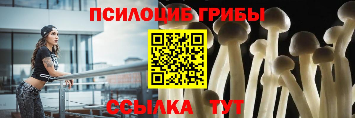 где можно купить наркотик  Псилоцибиновые грибы ЛСД  Галлюциногенные грибы Cubensis  Вход с VPN  Тосно 