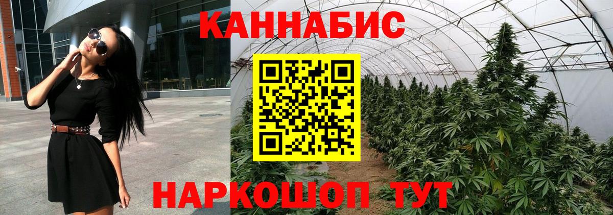 Марихуана Amnesia Тосно